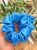 B65DC75E-CCED-4C03-B5D0-C0F1976A921E.png