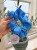F551FB53-B1FB-4B1D-A354-996E49805CB0.png