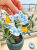 126A469A-BE20-432C-AF8B-F27AE058F250.png
